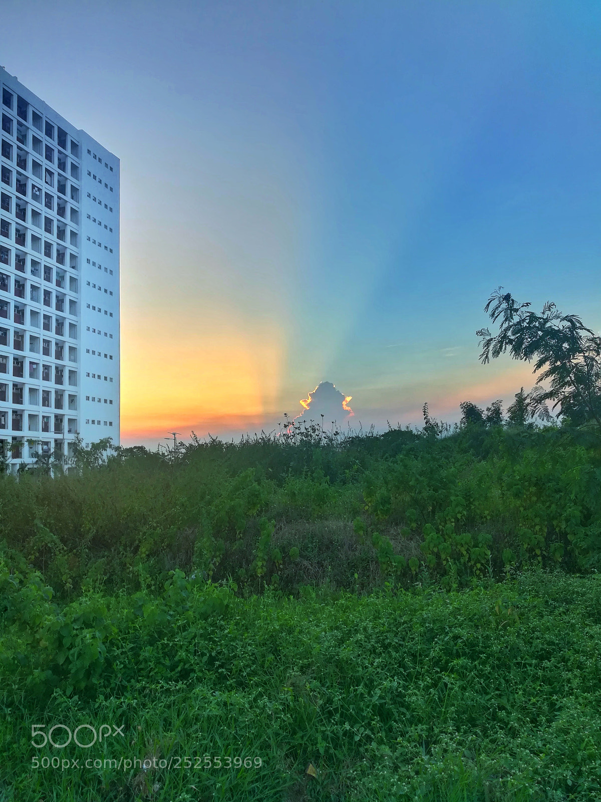 HUAWEI honor 6x sample photo. Sunset photography