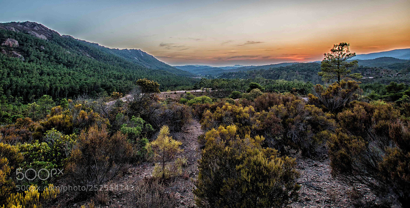 Sony SLT-A58 sample photo. Esterel photography