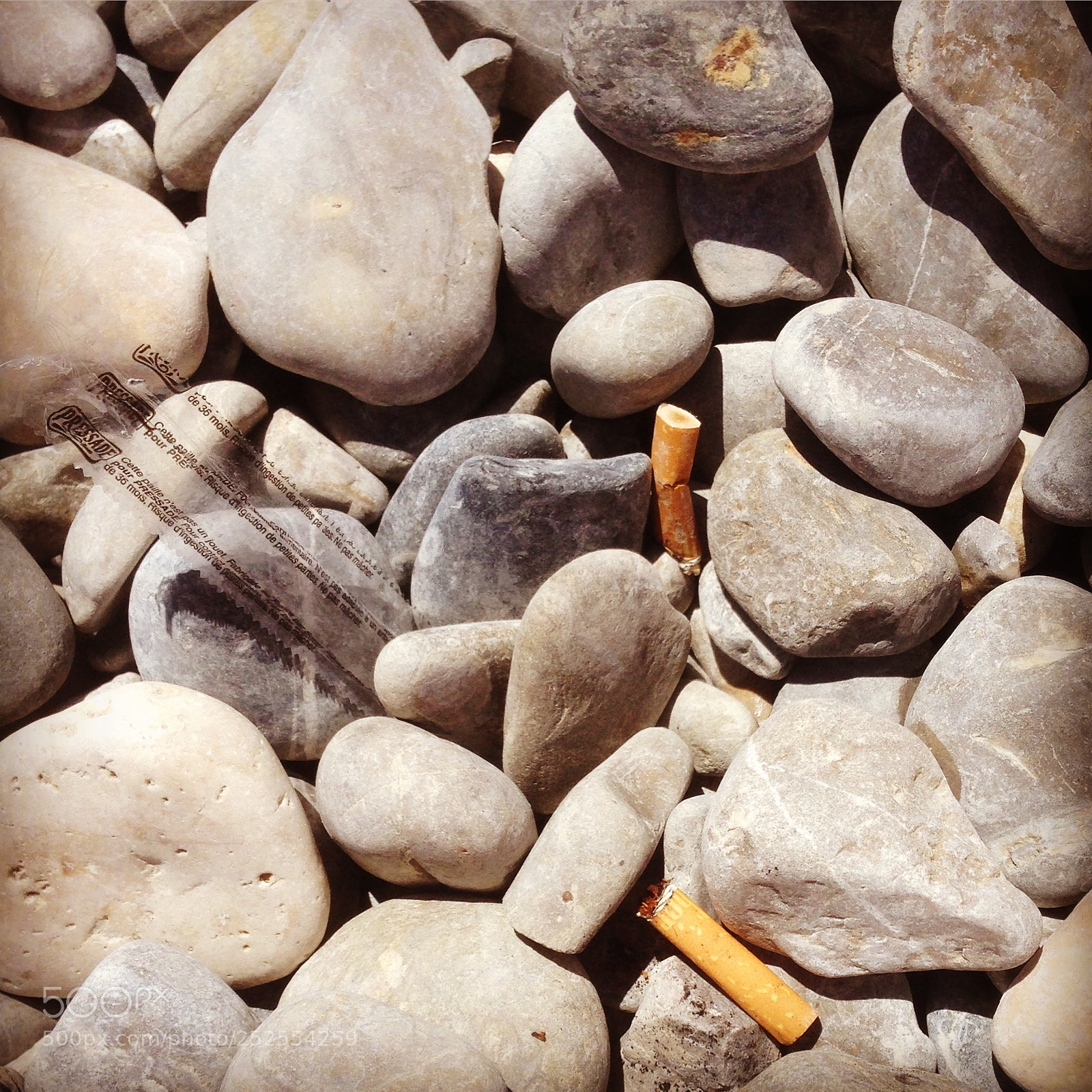 Apple iPhone 5 sample photo. Smmrbch photography