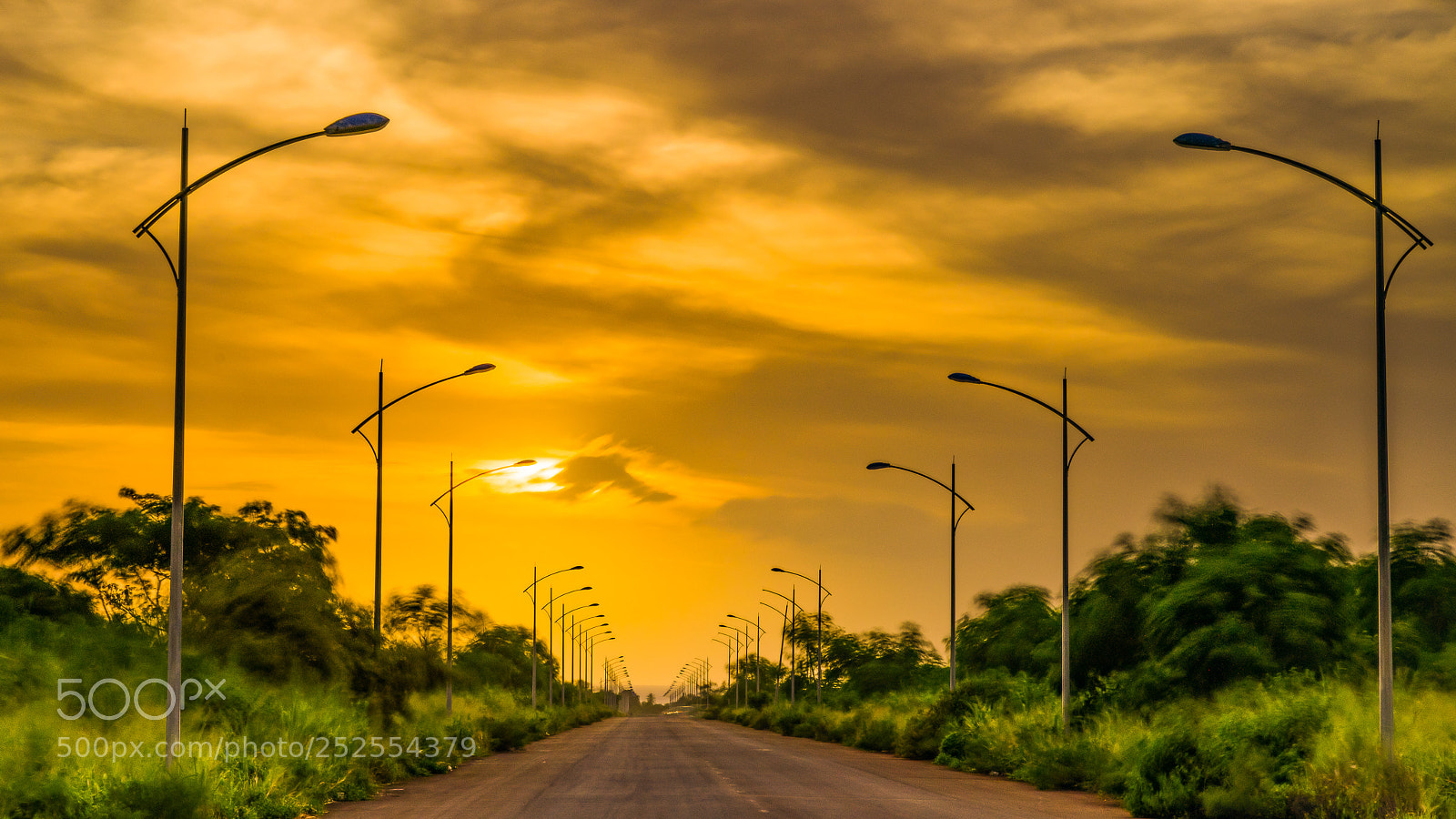 Nikon D850 sample photo. The avenue photography