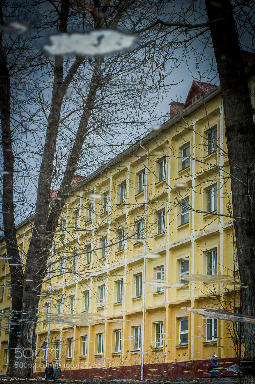 Pentax K-3 sample photo. The spring city photography
