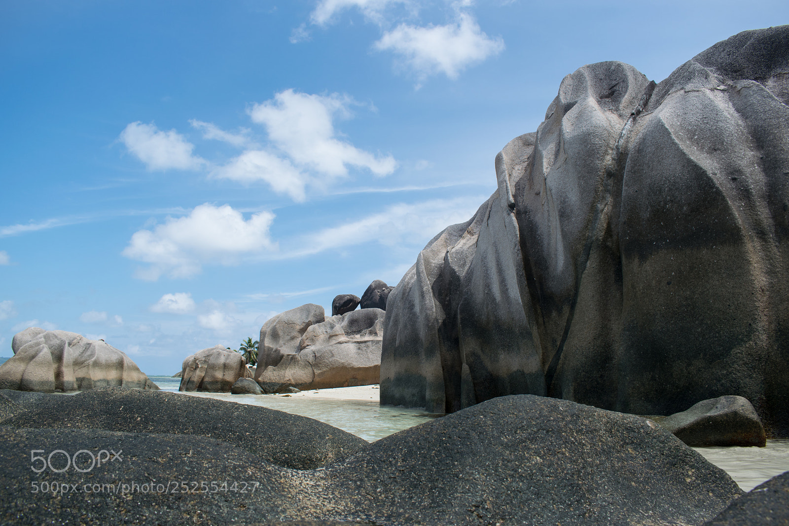 Nikon D5300 sample photo. Isolation photography