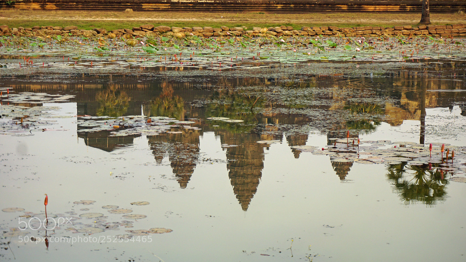 Sony a6000 sample photo. Afternoon at angkor wat photography