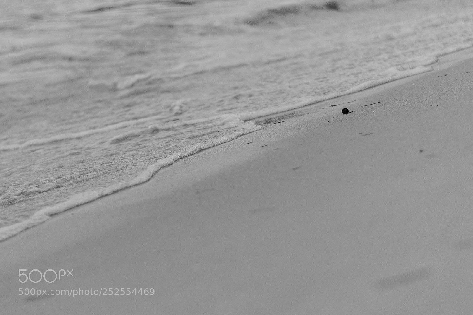 Nikon D5300 sample photo. Line photography