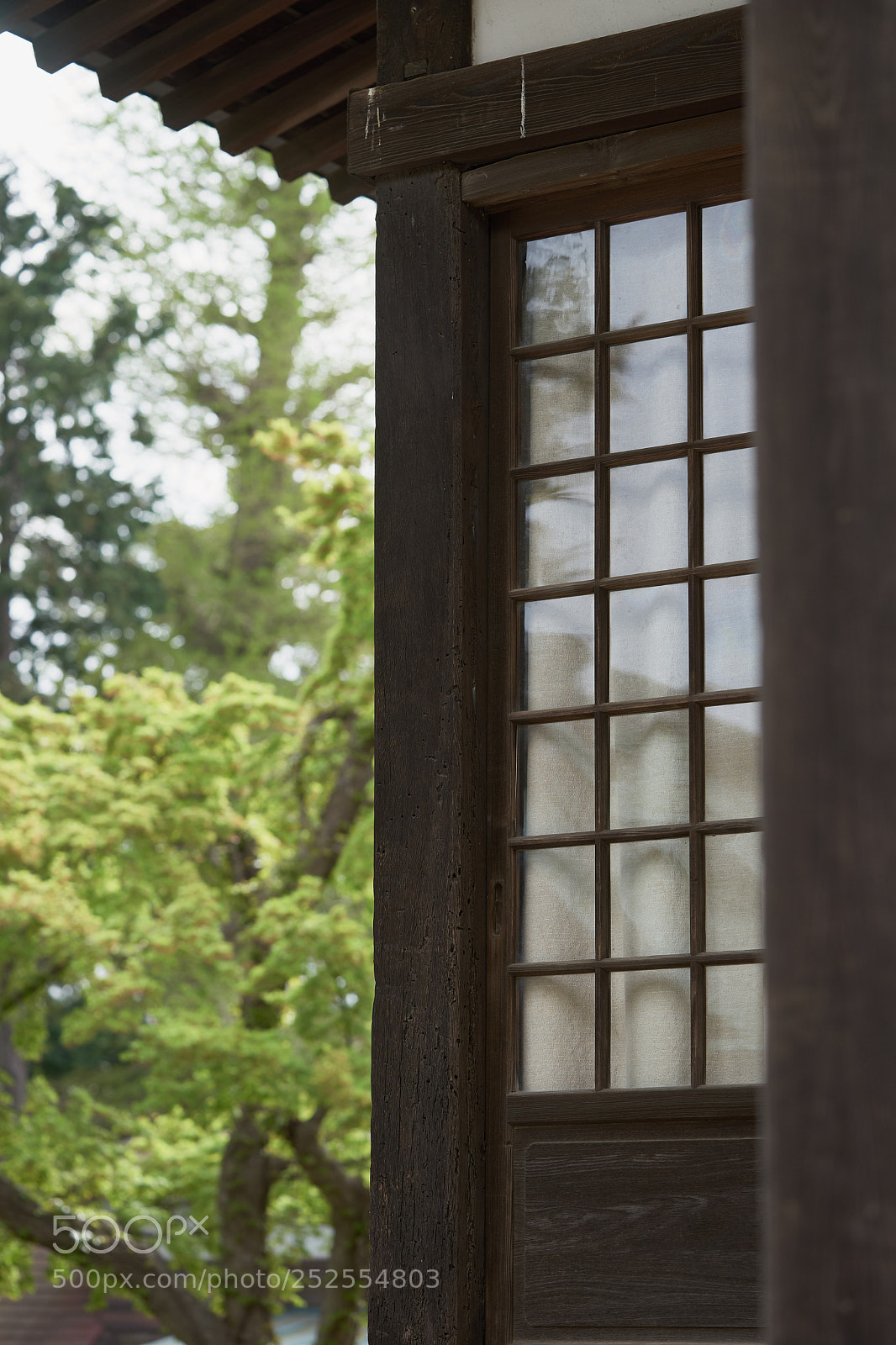 Sony a7 sample photo. Street 284 photography