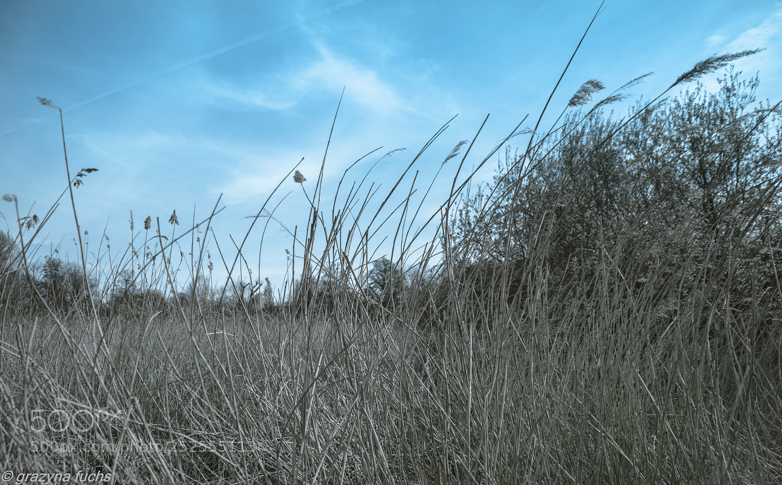 Nikon D3300 sample photo. Never does nature say photography