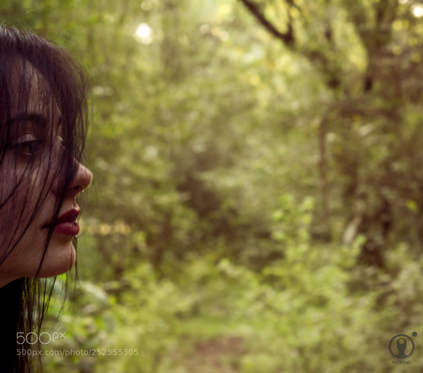 Nikon D3100 sample photo. Lost in nature photography