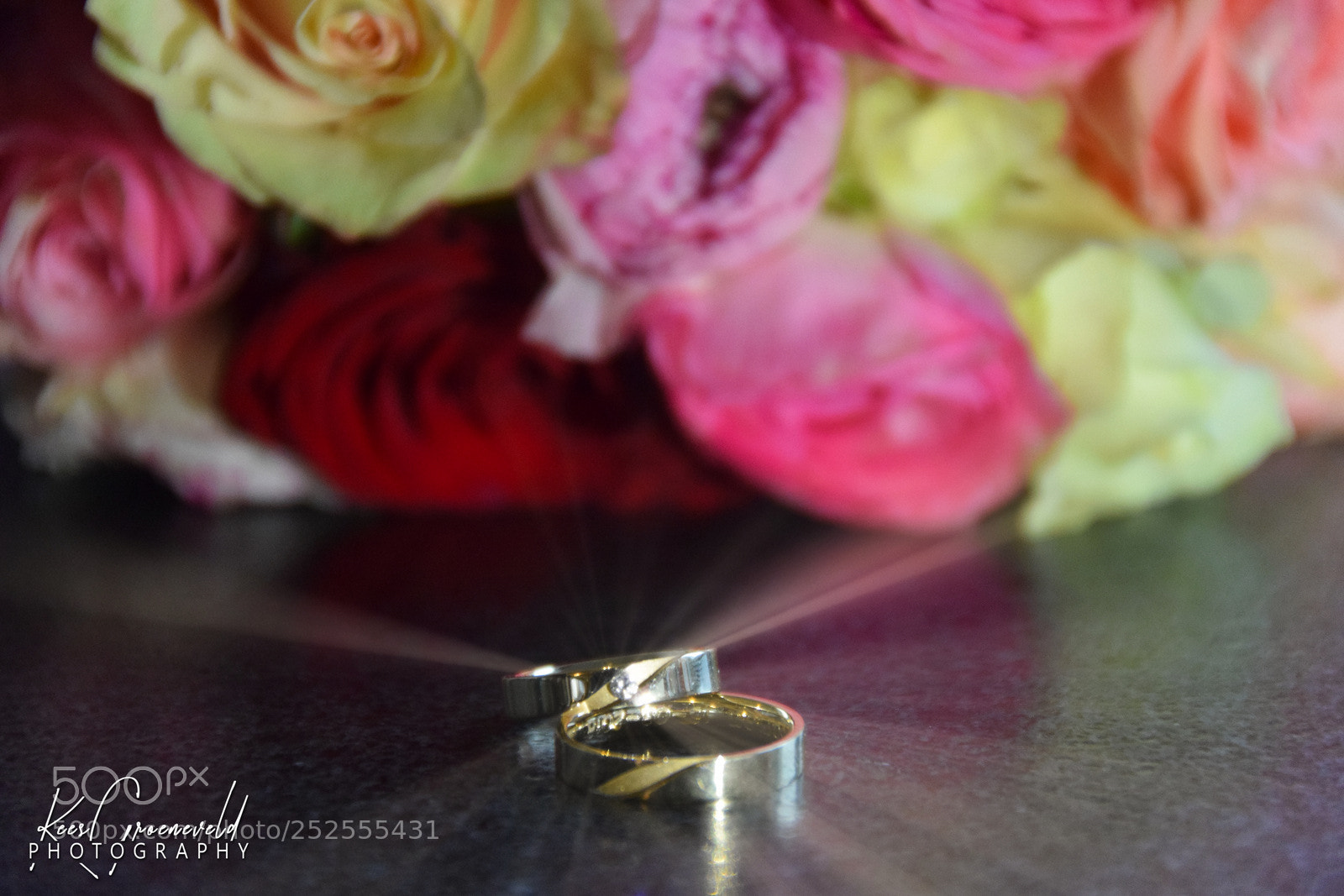 Nikon D5300 sample photo. Beautiful day photography