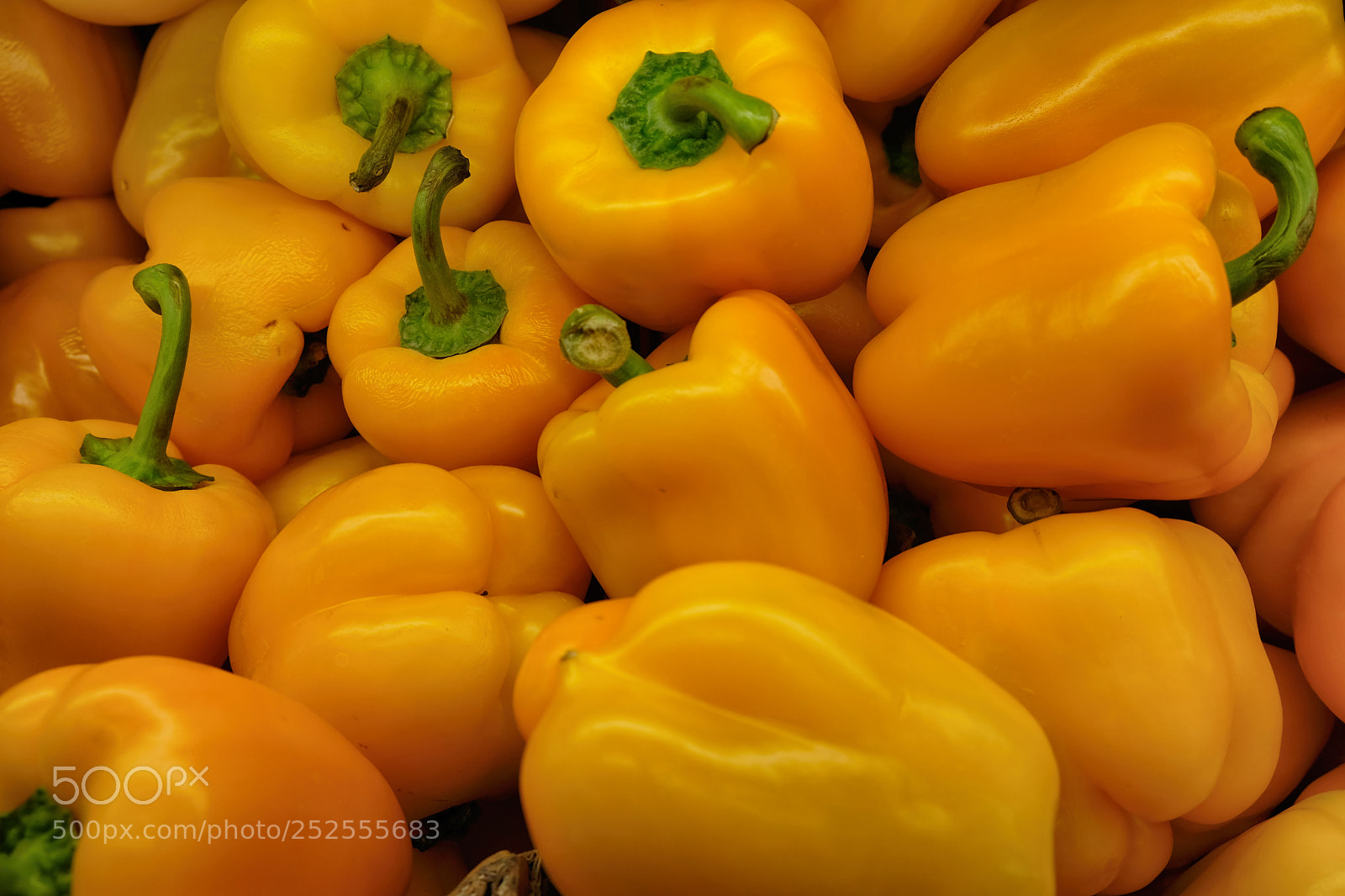 Fujifilm X-T20 sample photo. Yellow sweet peppet looking photography