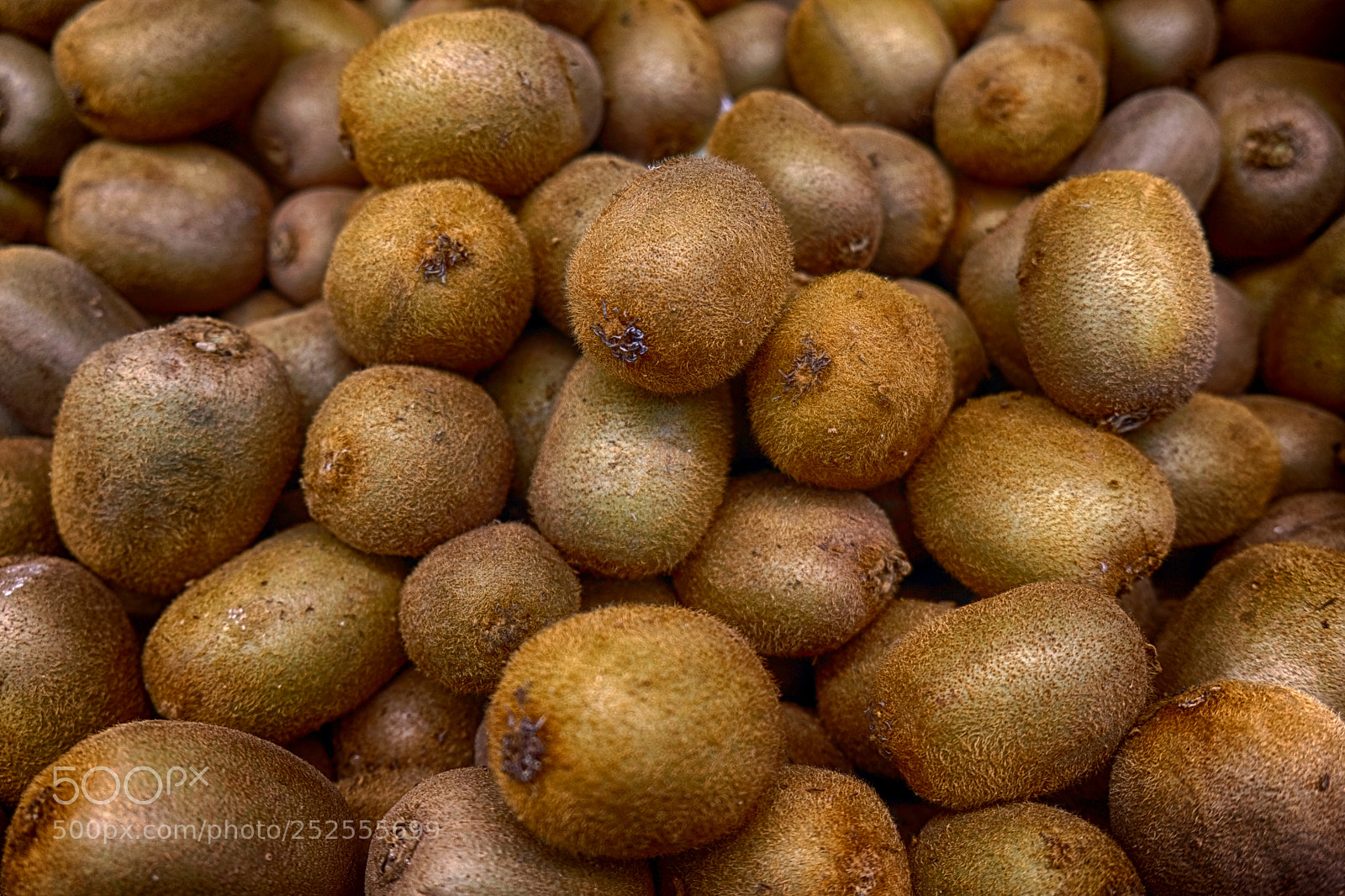 Fujifilm X-T20 sample photo. Brown kiwi looking delicious photography