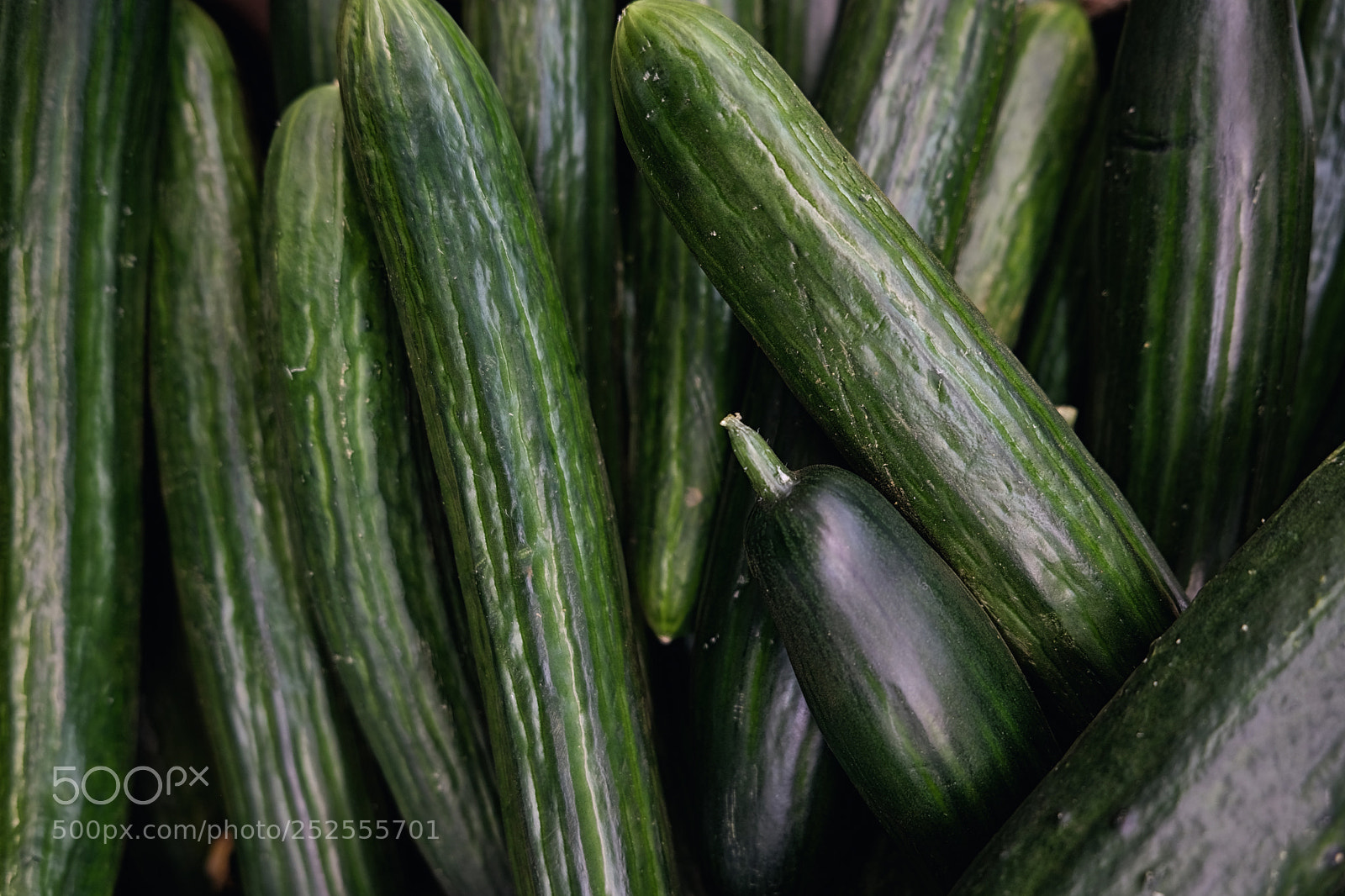 Fujifilm X-T20 sample photo. Nice green cucumbers close photography