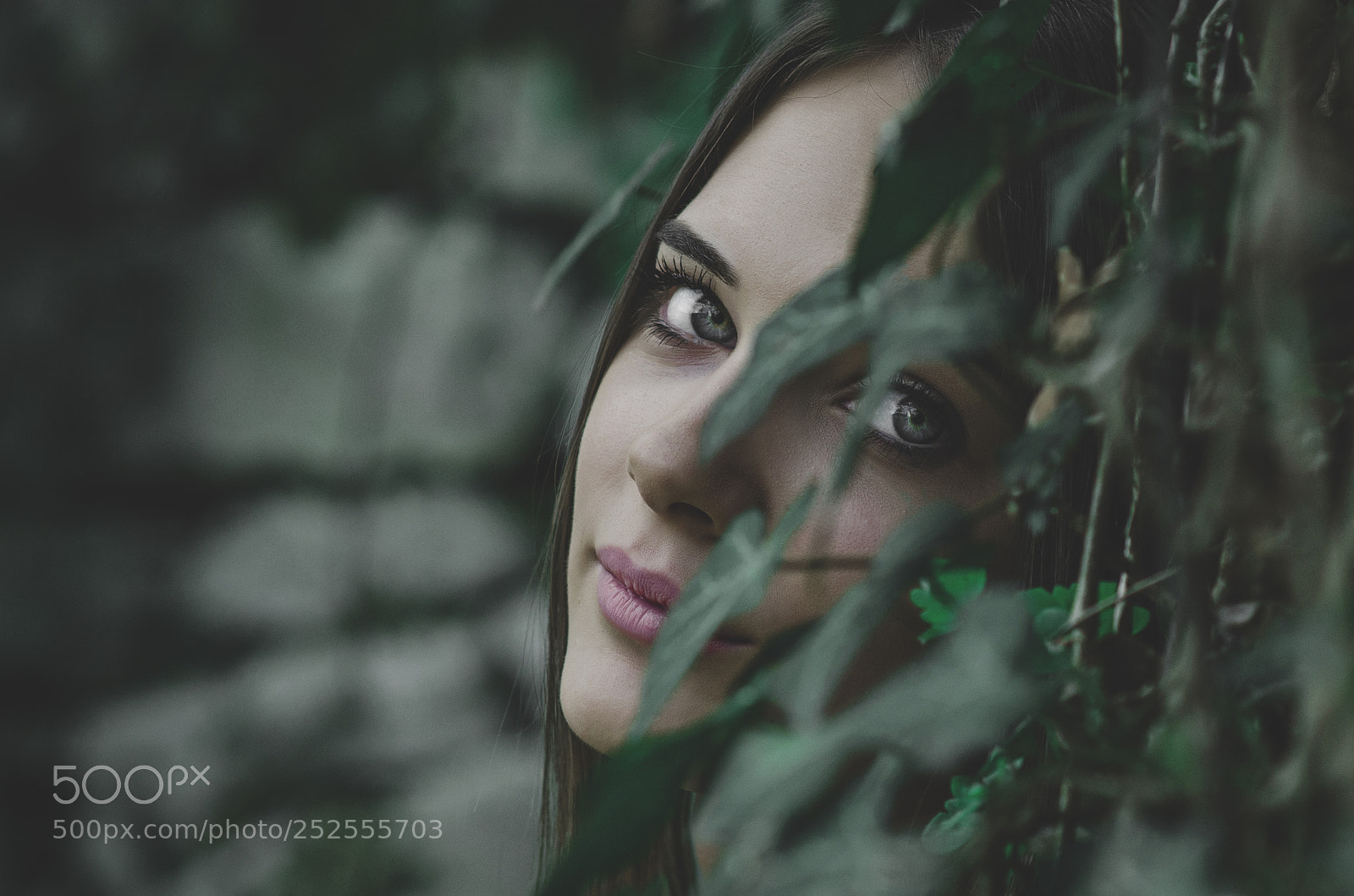 Nikon D7000 sample photo. Green photography