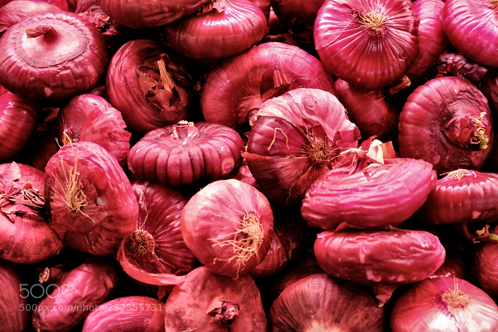 Fujifilm X-T20 sample photo. Red onion looking fresh photography