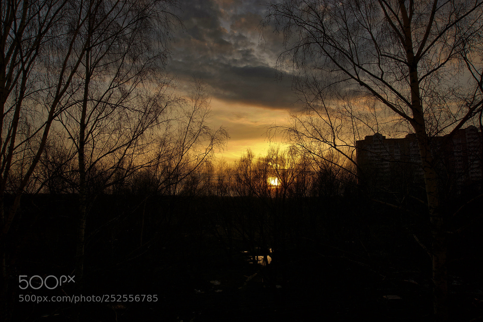 Sony a6000 sample photo. закат photography