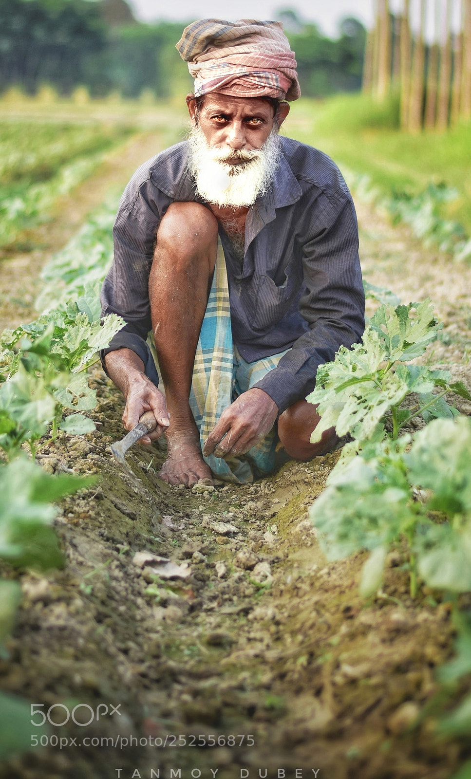 Nikon D7200 sample photo. The old man photography