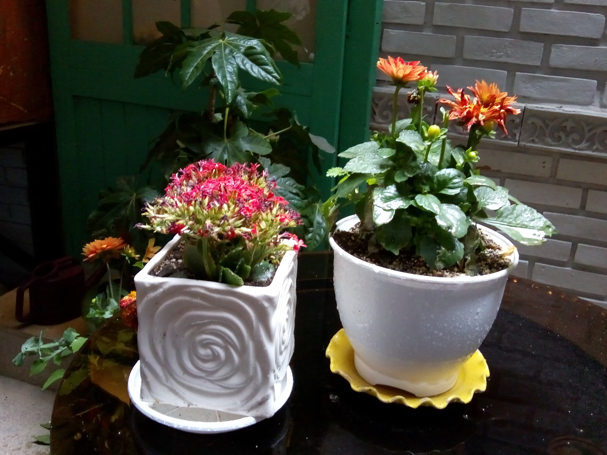 Motorola Moto C Plus sample photo