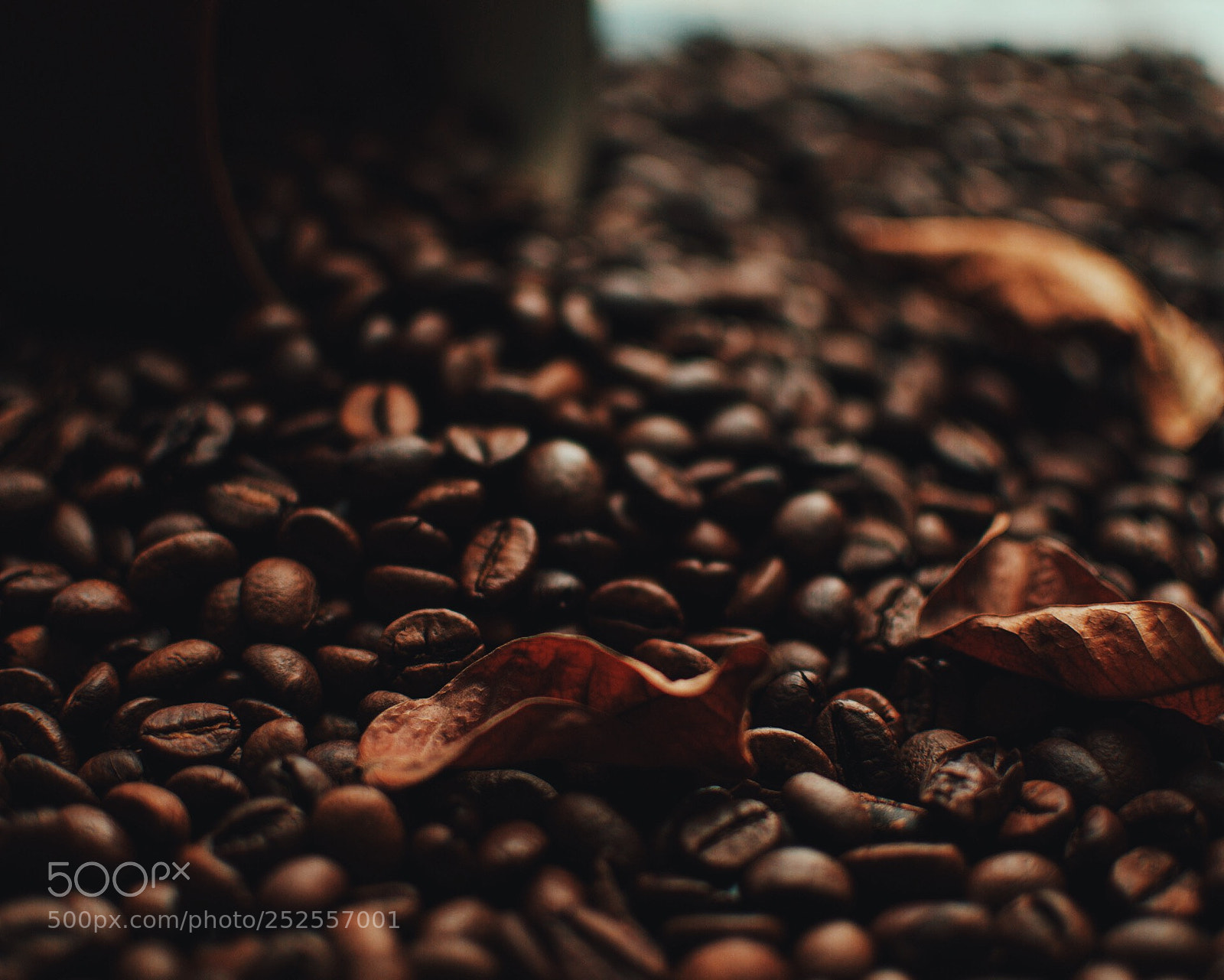 Nikon D5100 sample photo. Coffee mood photography