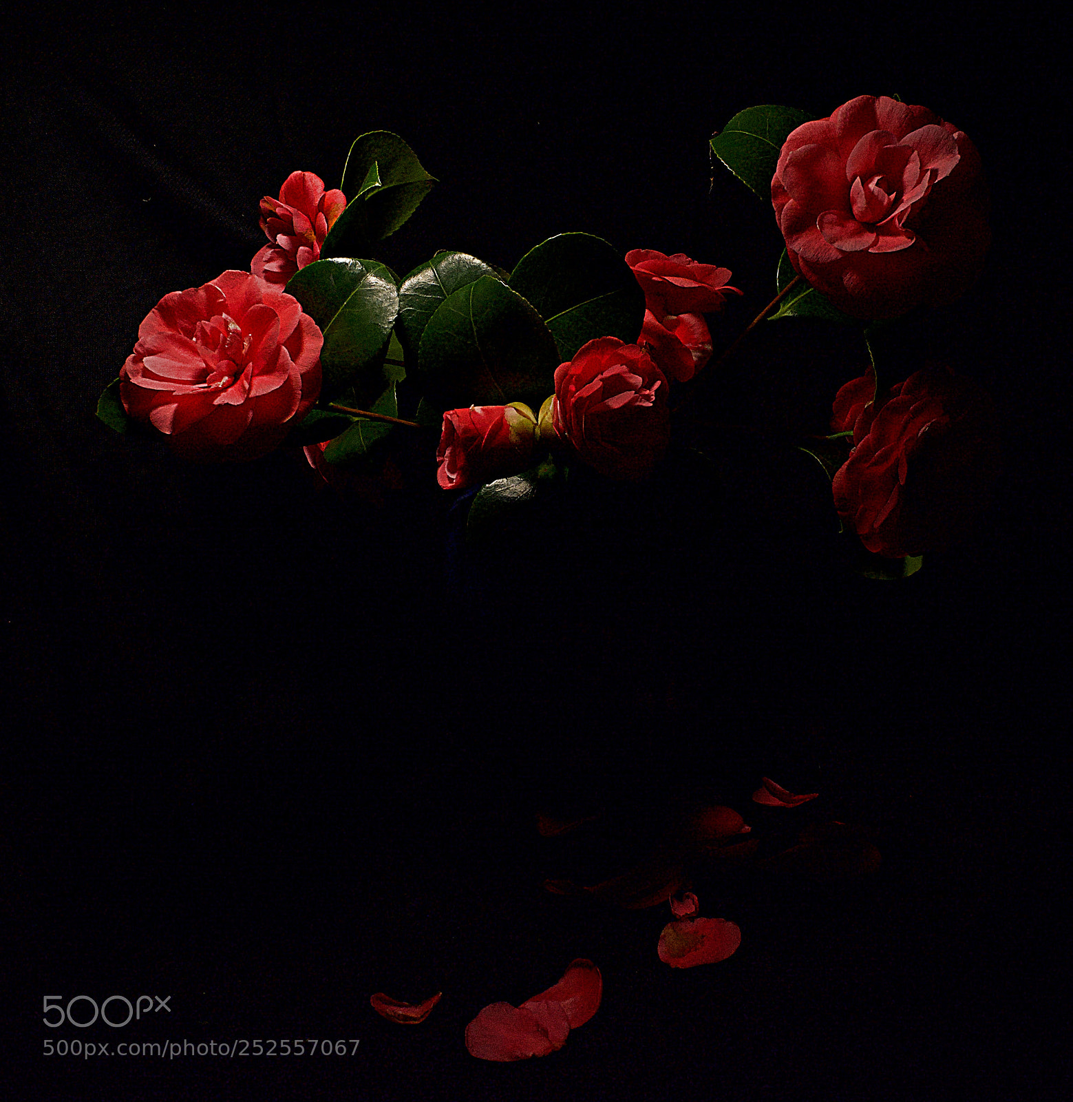 Nikon D5200 sample photo. Light painting -2 photography