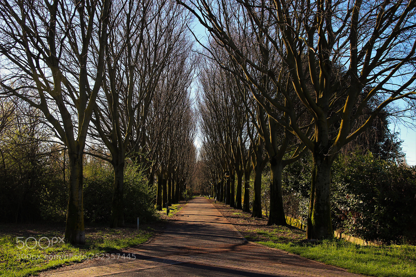 Canon EOS 100D (EOS Rebel SL1 / EOS Kiss X7) sample photo. Lonely walk photography