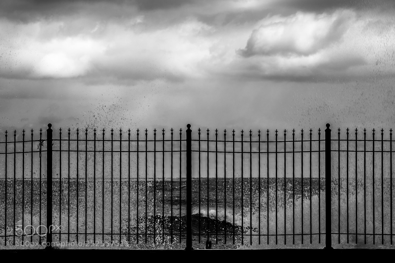 Sony a7 II sample photo. South shore drive photography