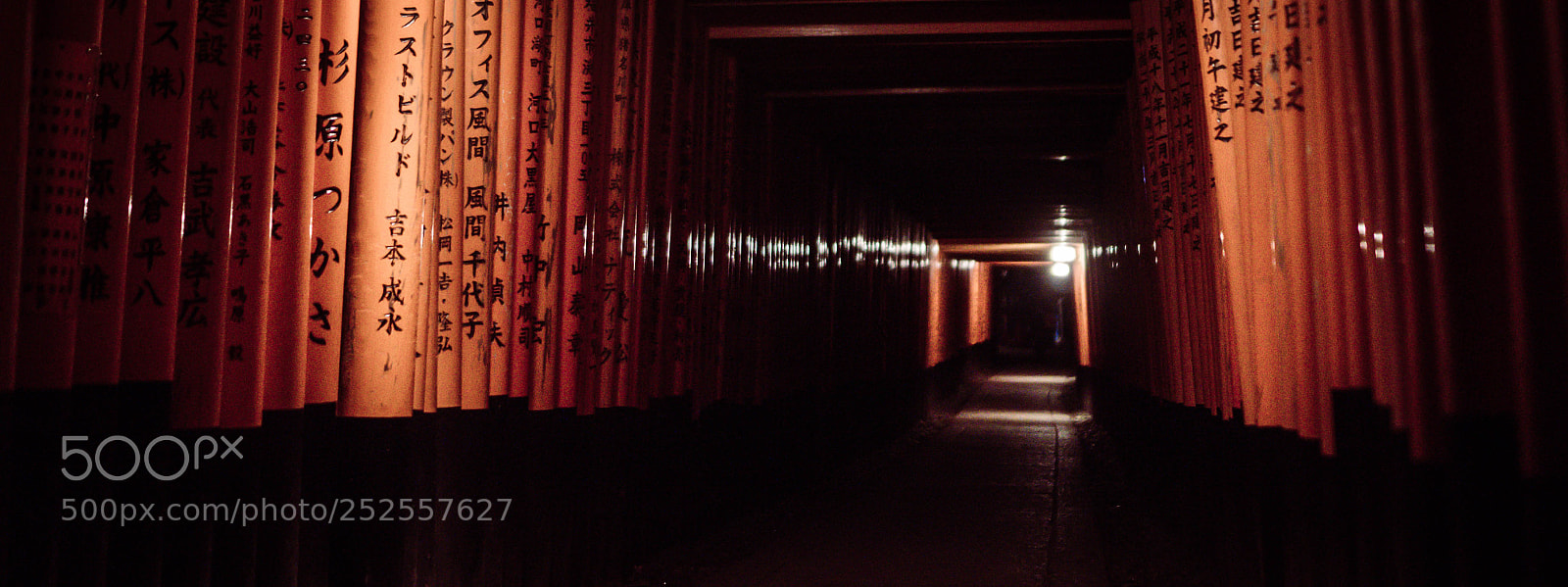 Sony Alpha NEX-5T sample photo. Fushimi inari by night photography