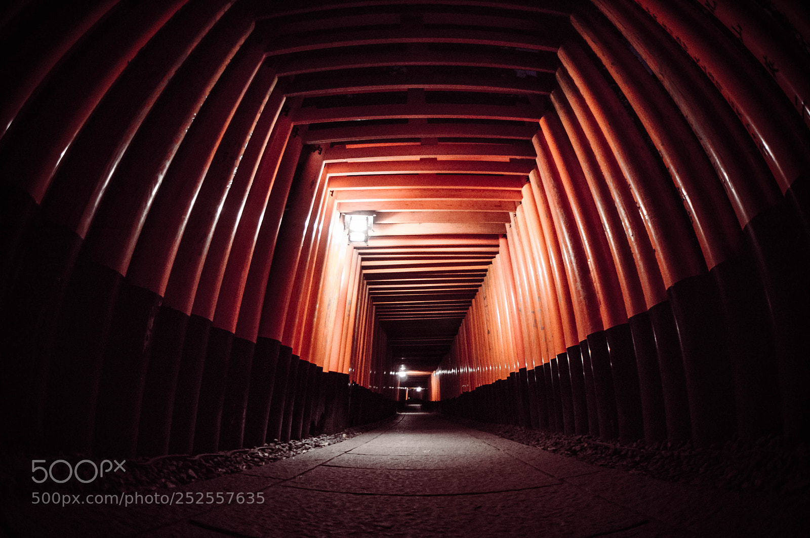 Sony Alpha NEX-5T sample photo. Fushimi inari by night photography