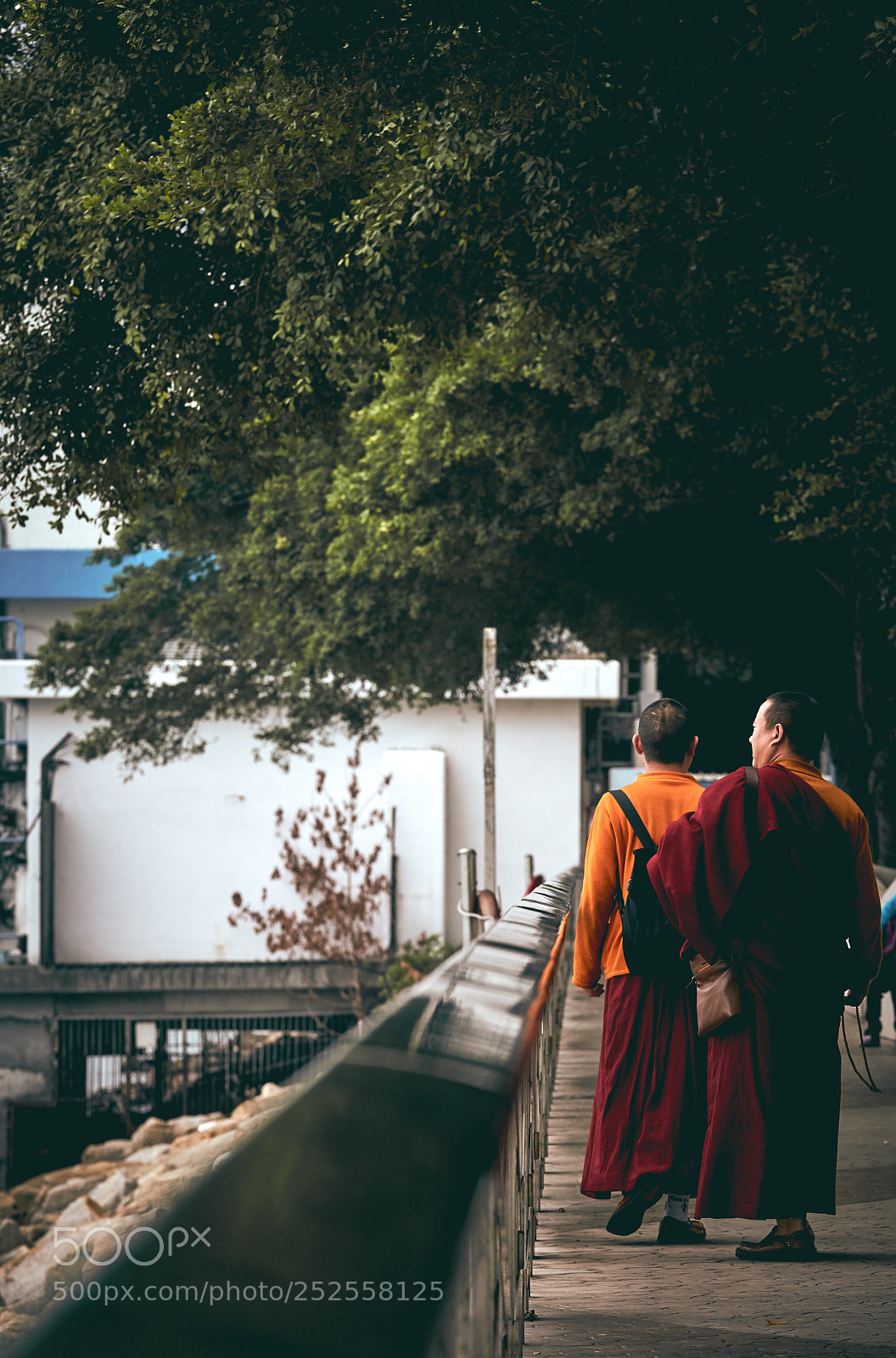 Sony a6500 sample photo. Untitled photography