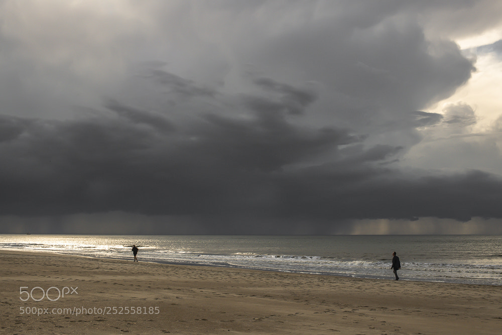 Nikon D850 sample photo. Sea for two... photography