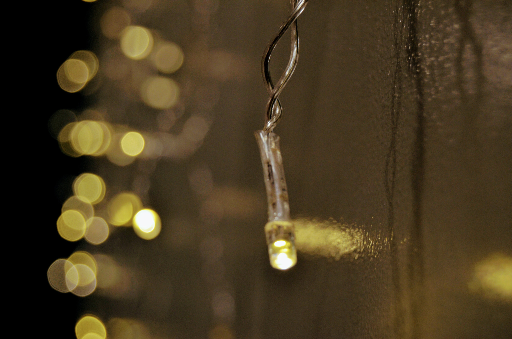 Nikon D5100 sample photo. Light standout photography