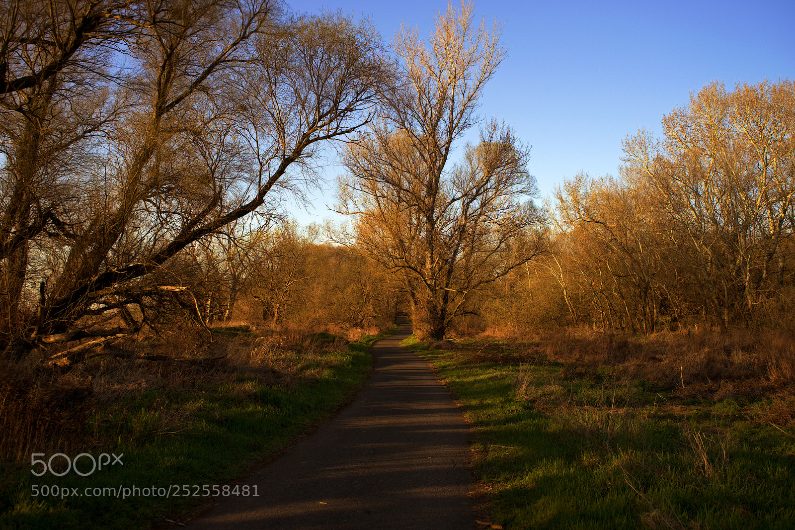 Sony a7 sample photo. Road to wildness photography