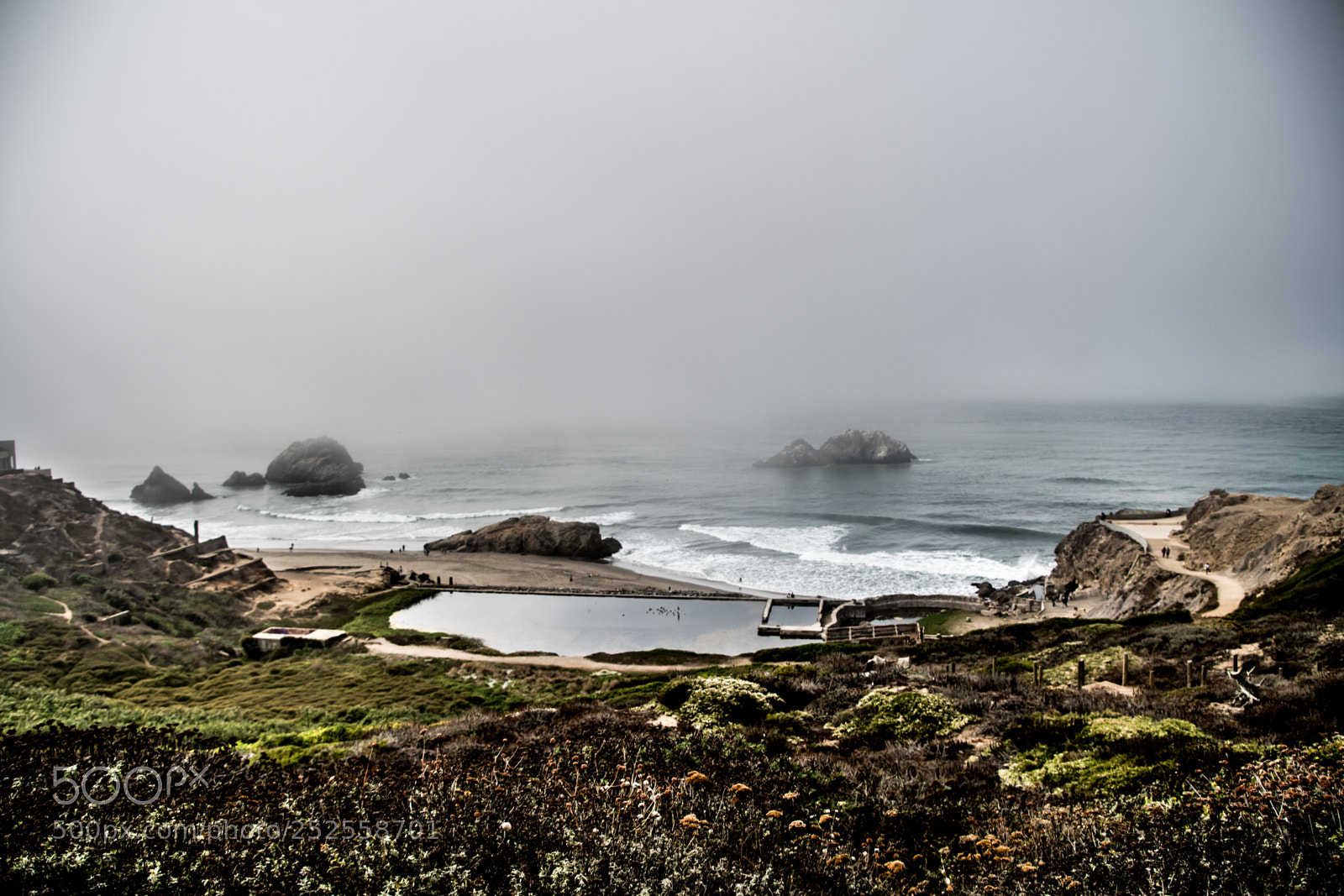 Nikon D7500 sample photo. Overcast photography