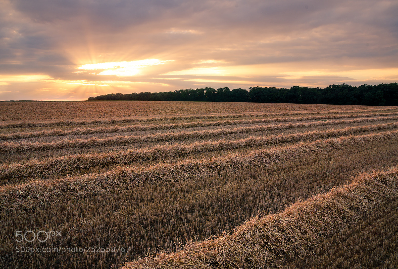 Nikon D7000 sample photo. Last sunrays photography