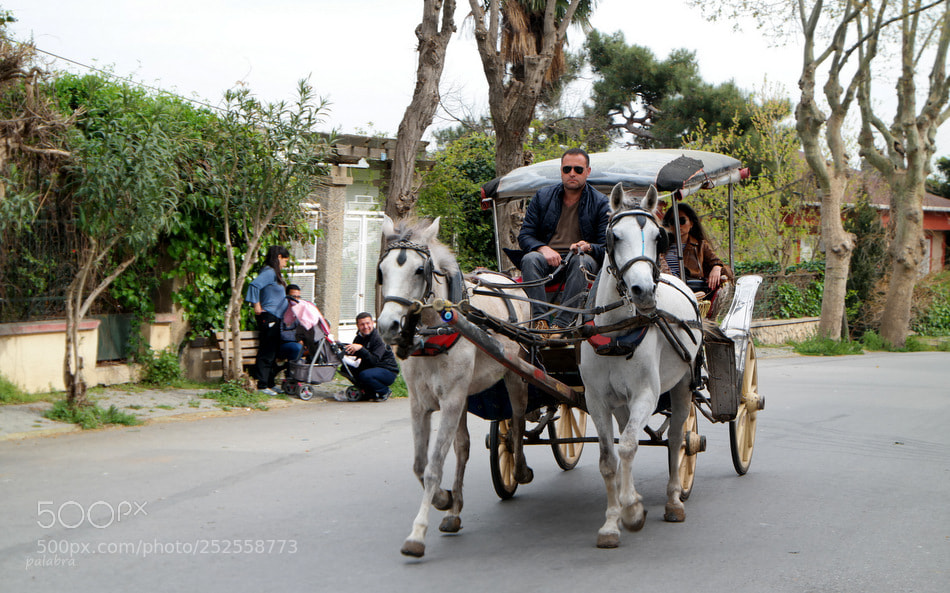 Samsung NX30 sample photo. ... photography