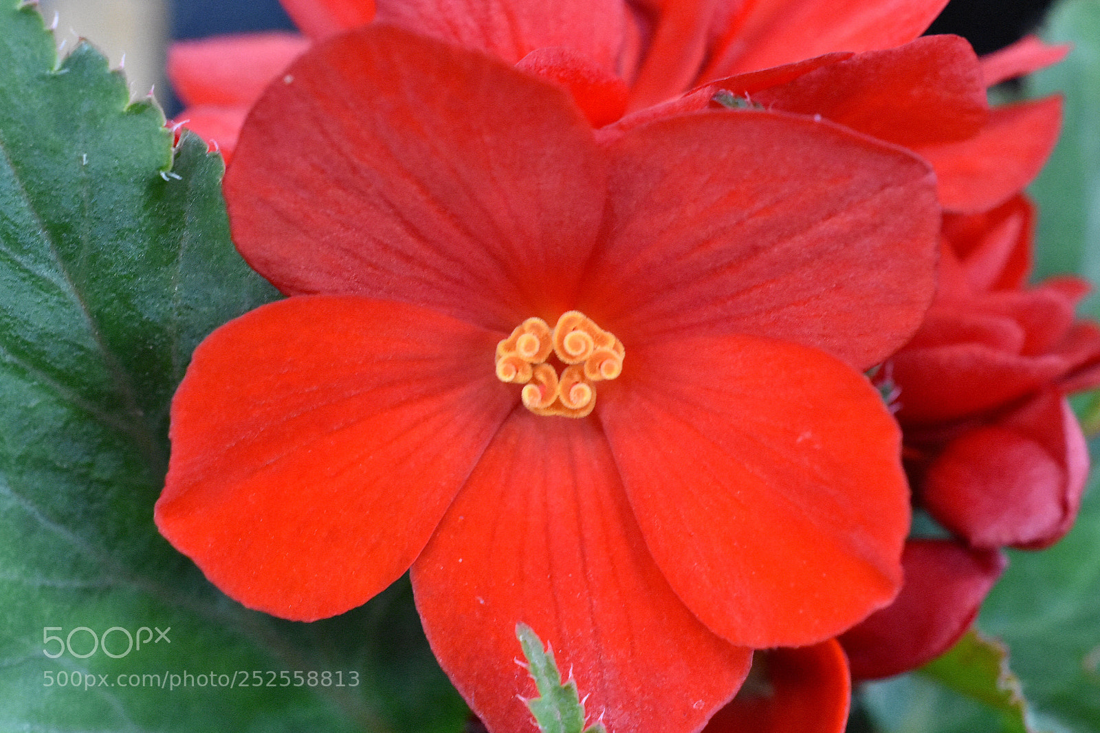 Nikon D3400 sample photo. At the heart of photography