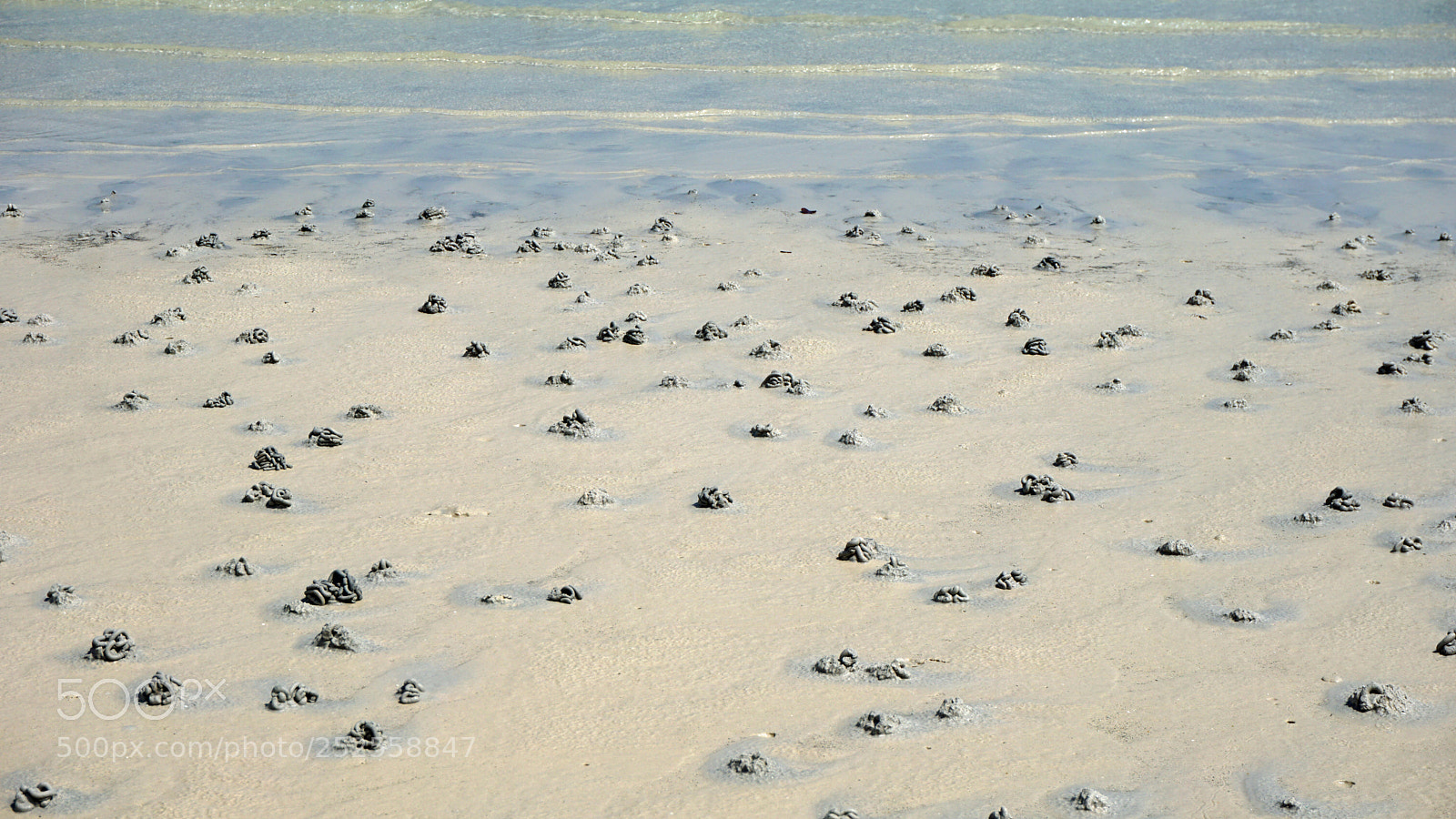 Sony a6000 sample photo. Koh rong samloem beach photography
