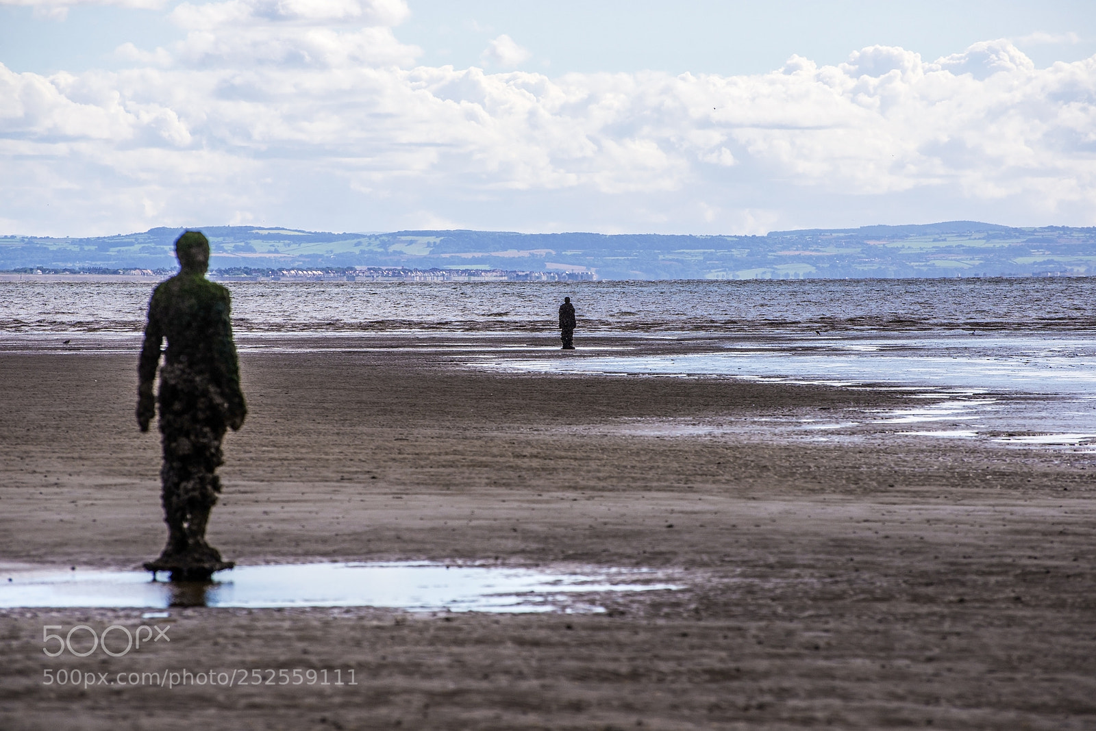 Nikon D600 sample photo. Sea watchers! (1) photography