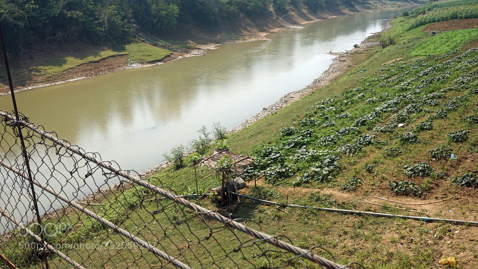 Sony a6000 sample photo. Farmland at tonle sap photography