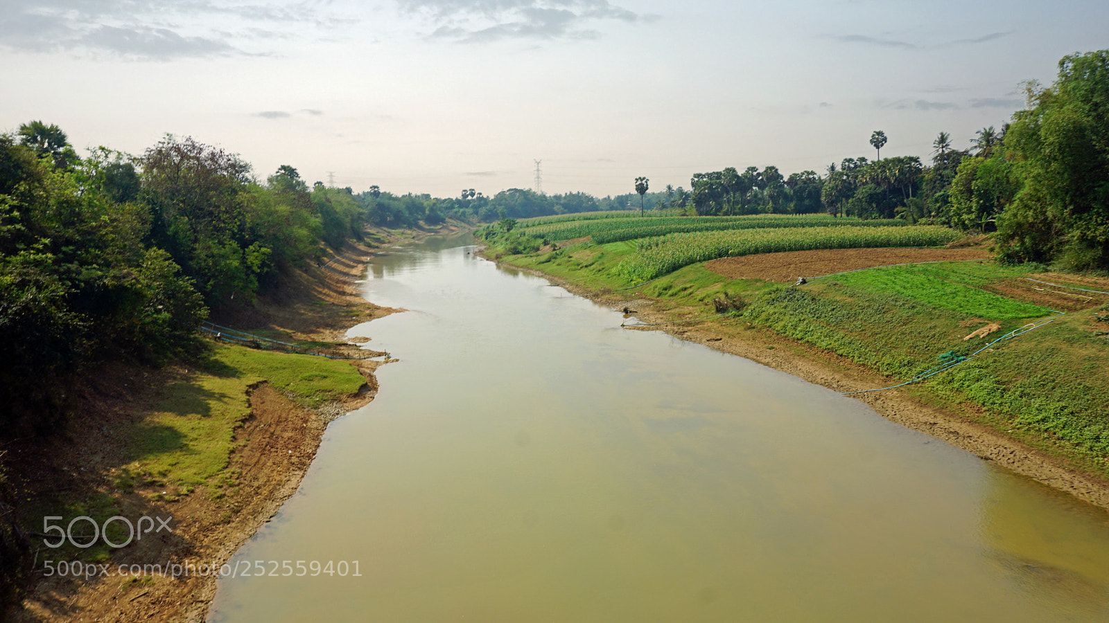 Sony a6000 sample photo. Farmland at tonle sap photography