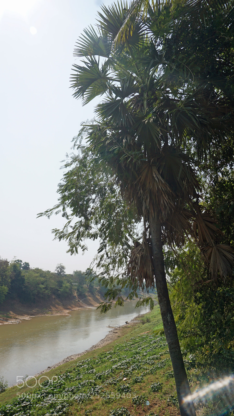 Sony a6000 sample photo. Farmland at tonle sap photography