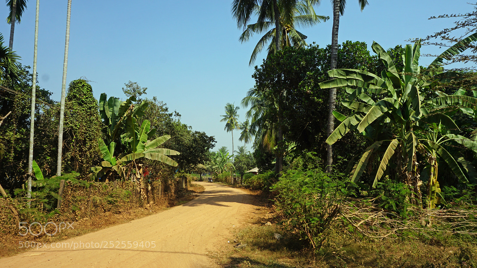 Sony a6000 sample photo. Farmland at tonle sap photography