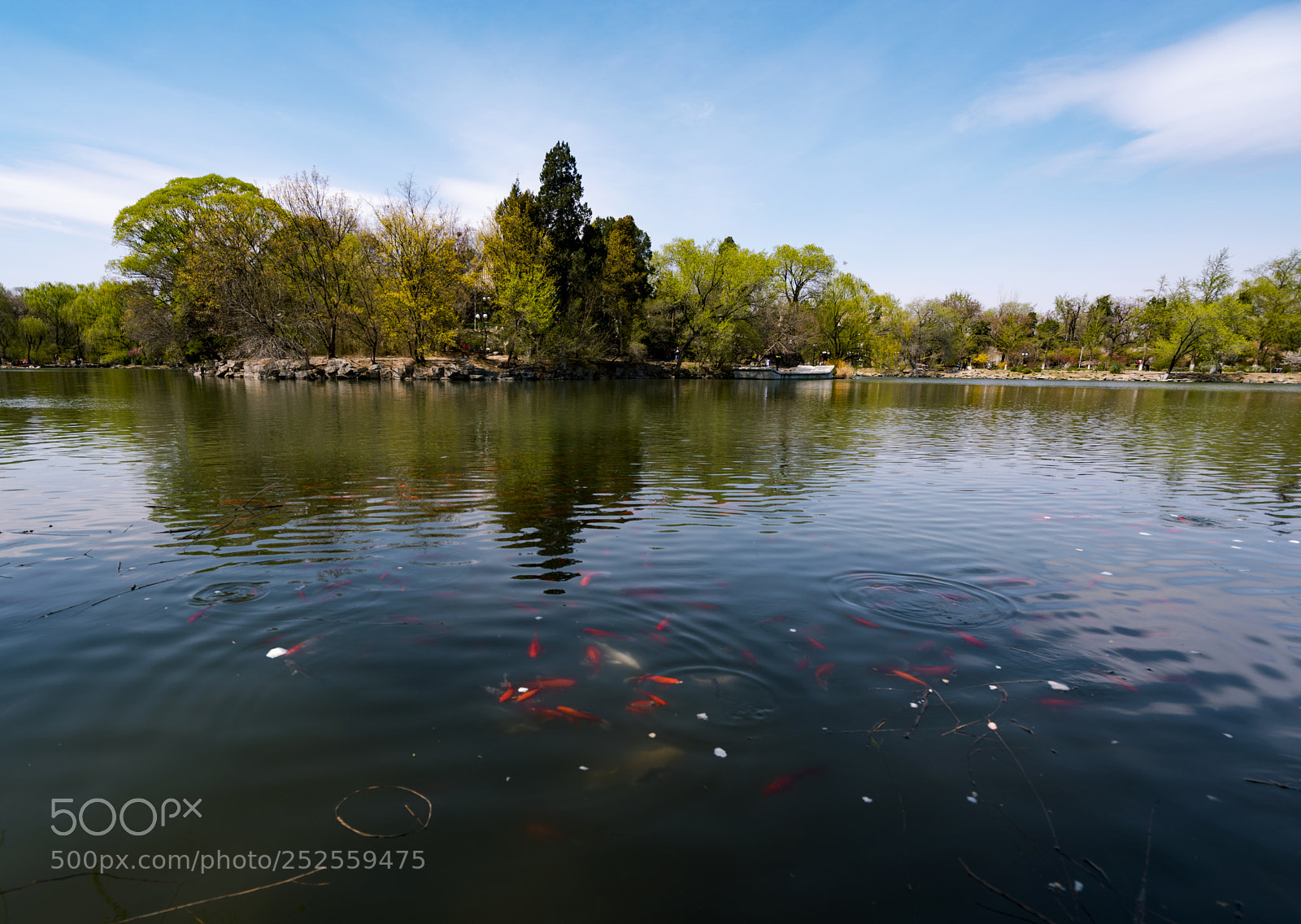 Sony a7R II sample photo. Spring in weiming lake photography
