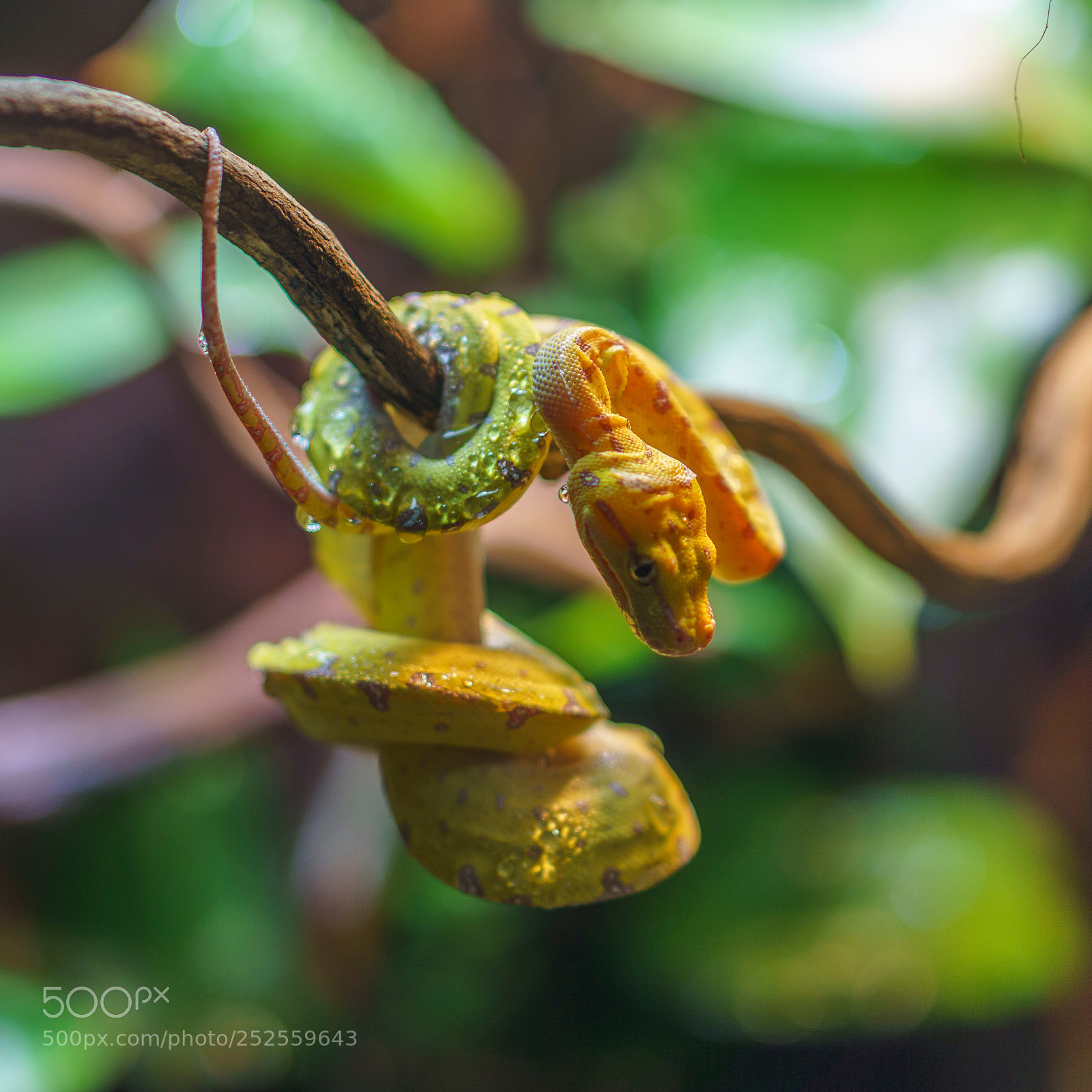 Sony a6000 sample photo. Just hanging there photography