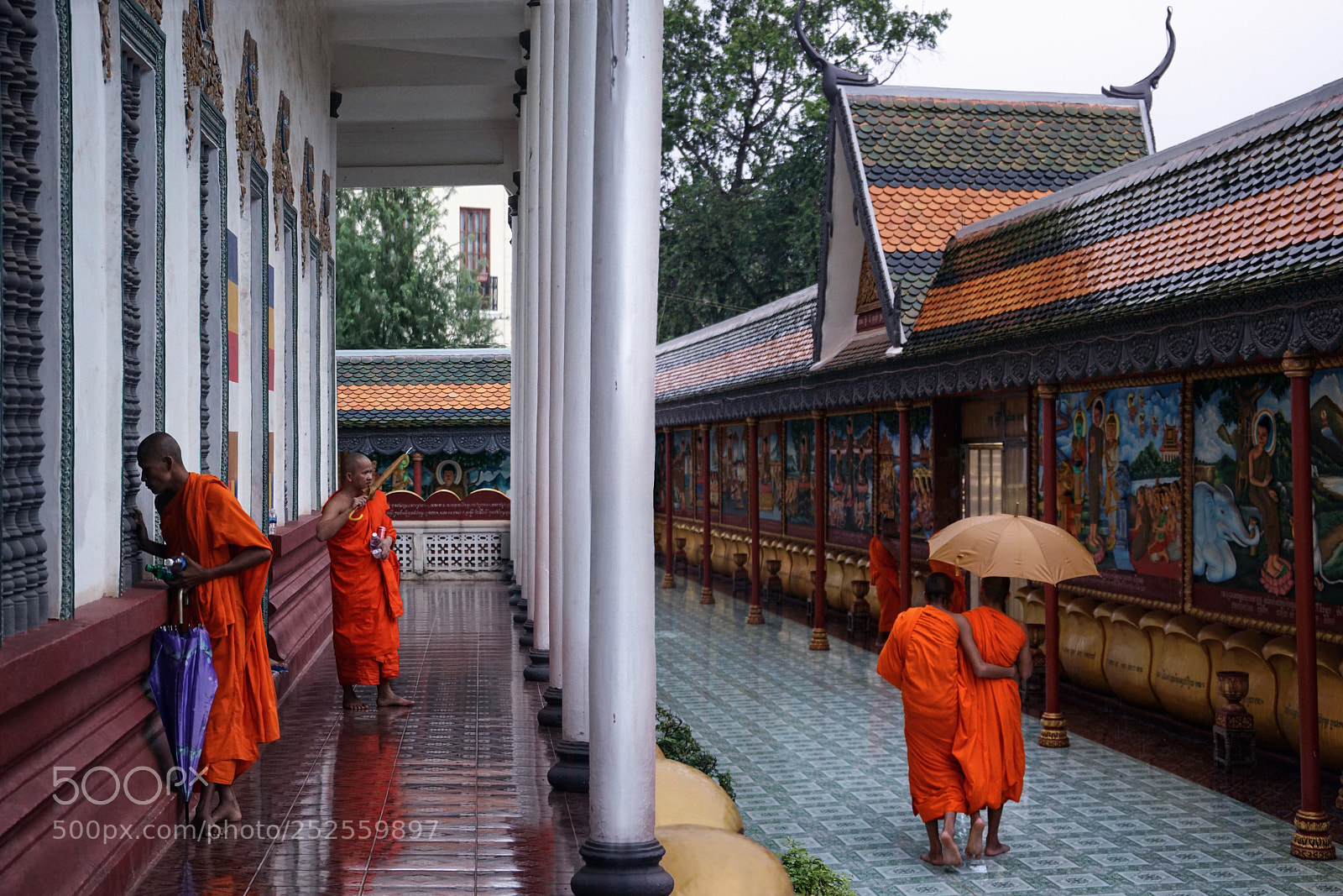 Sony a6000 sample photo. Umbrella wisdom photography