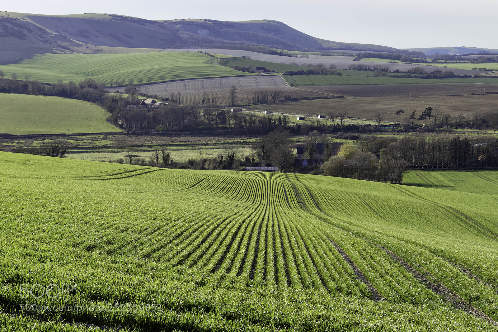 Canon EOS 77D (EOS 9000D / EOS 770D) sample photo. Near seaford, sussex uk photography