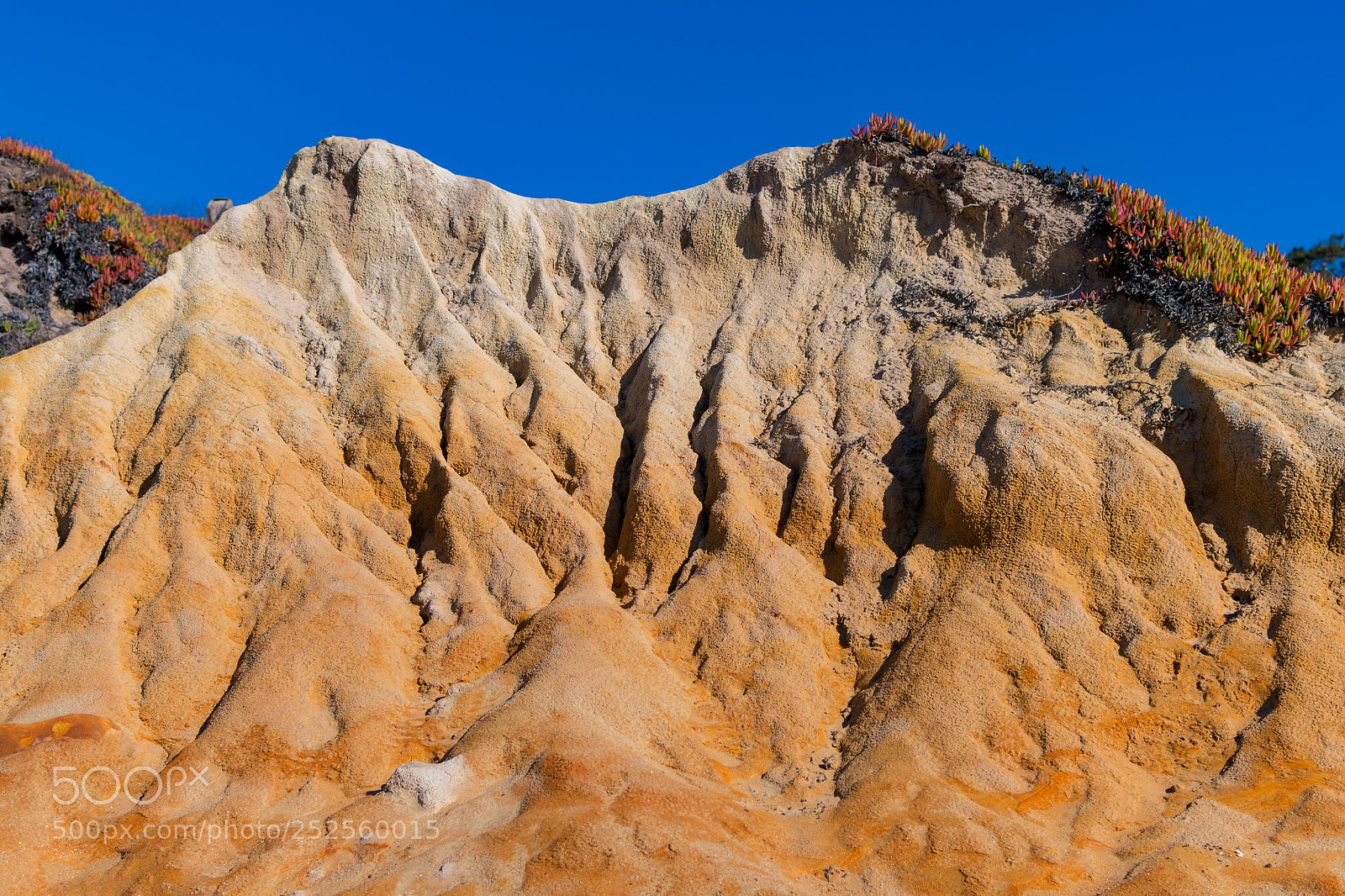 Nikon D7500 sample photo. Wind carved photography