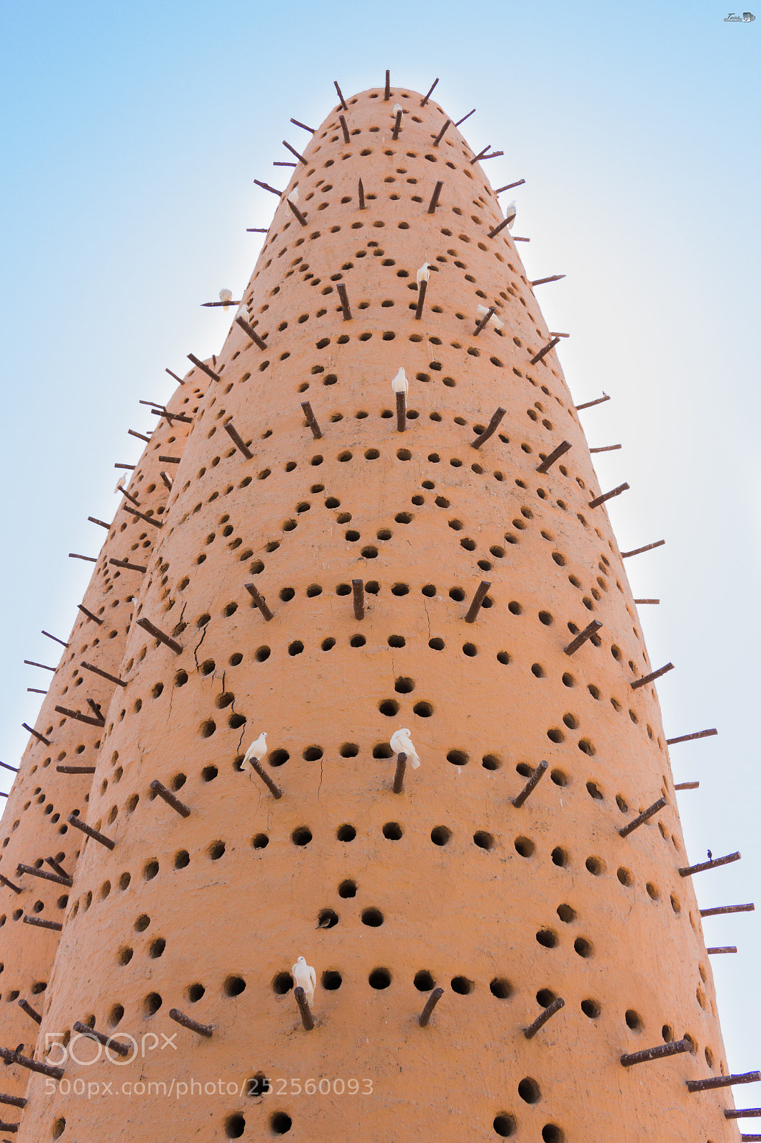Canon EOS 700D (EOS Rebel T5i / EOS Kiss X7i) sample photo. Pigeon towers katara ..!! photography
