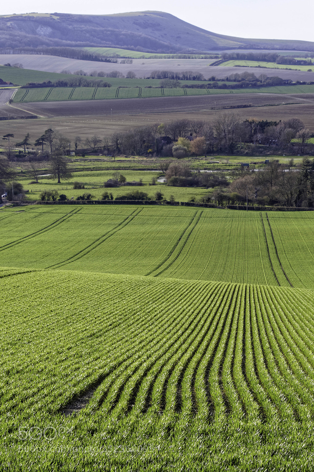 Canon EOS 77D (EOS 9000D / EOS 770D) sample photo. Near seaford, sussex uk photography