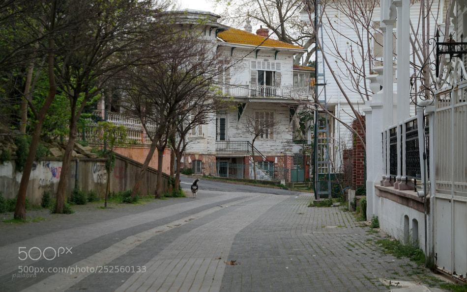 Samsung NX30 sample photo. ... photography