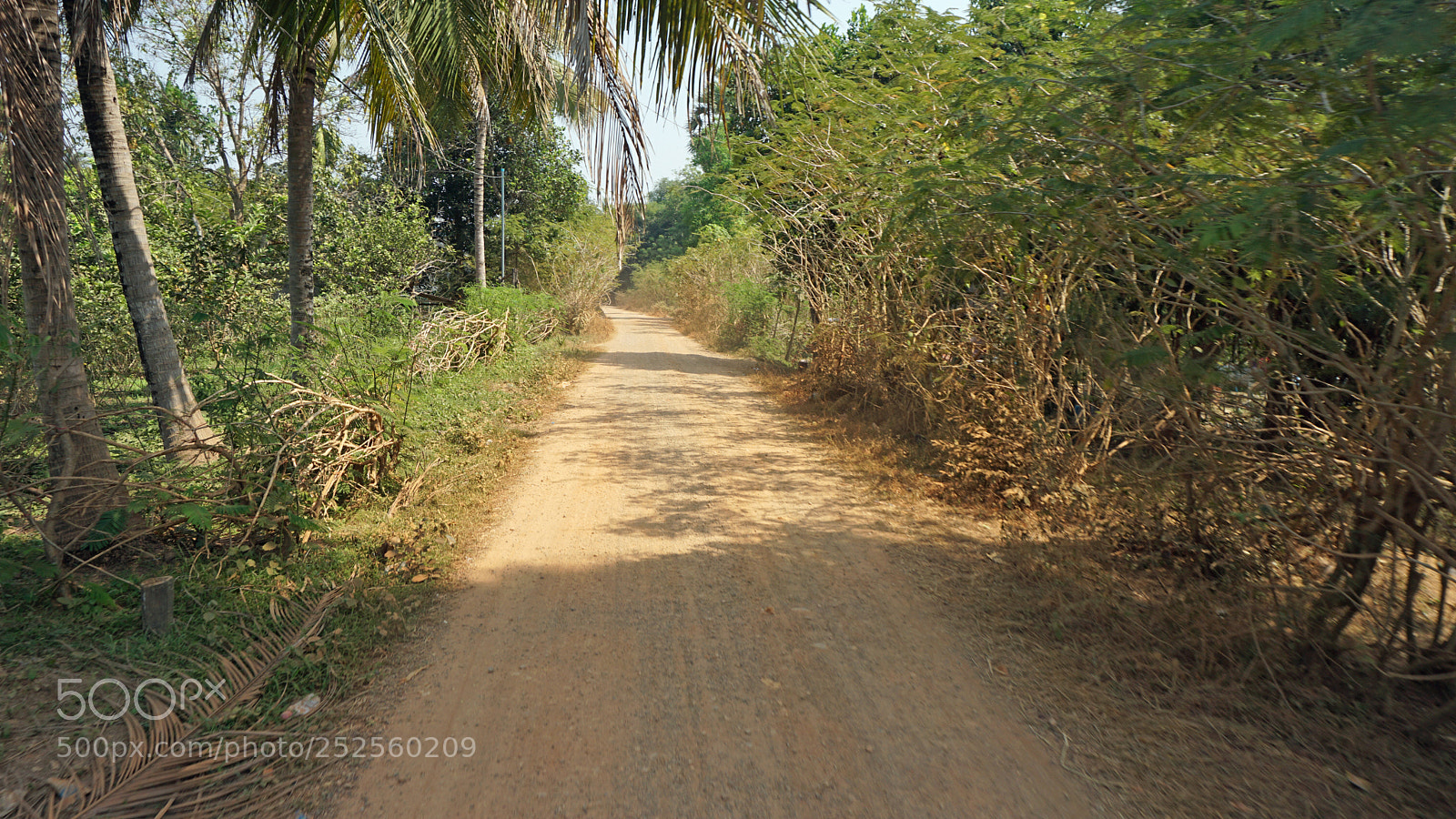 Sony a6000 sample photo. Araund battambang village photography