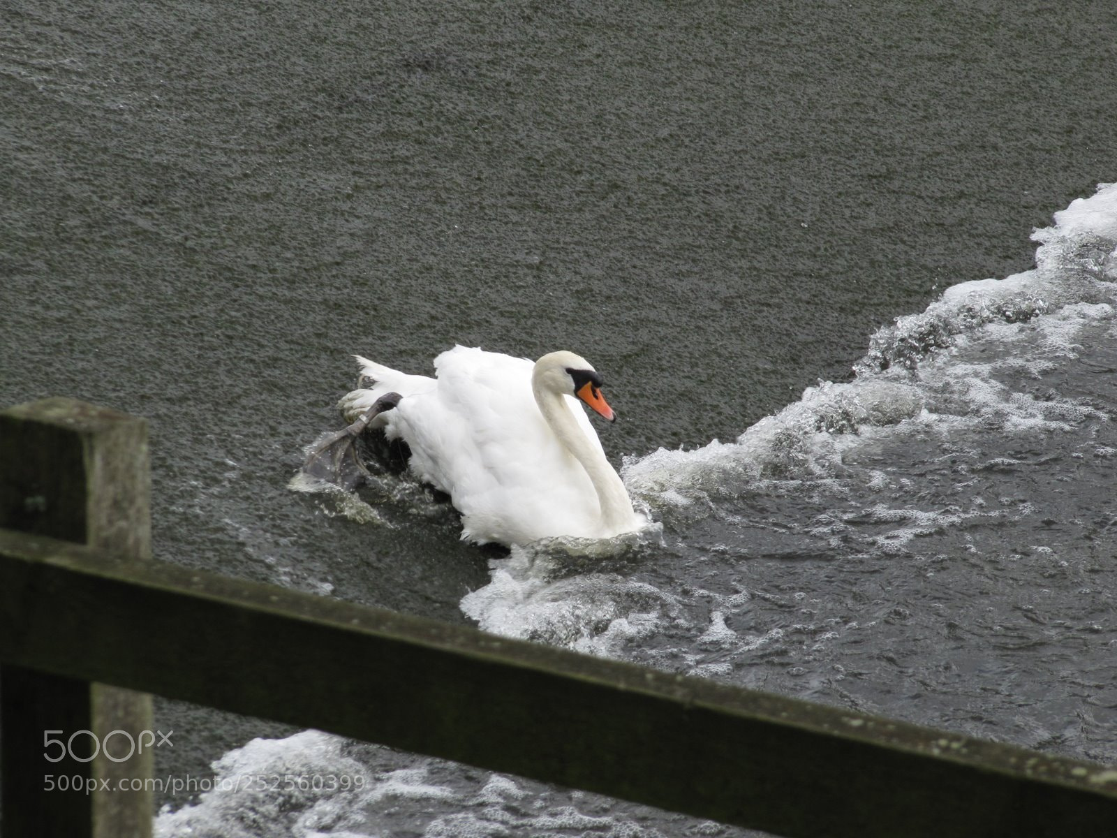 Canon PowerShot SX200 IS sample photo. Img photography